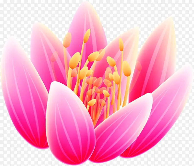 手绘红粉色鲜花装饰