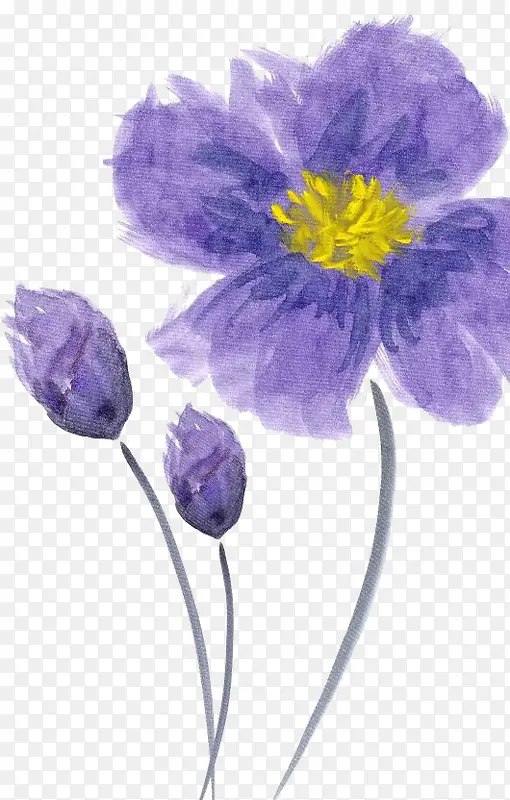 手绘紫色鲜花黄色花蕊