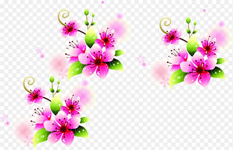 粉色手绘鲜花花朵植物节日