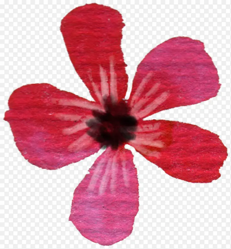 手绘水墨红色鲜花