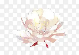 手绘唯美白色鲜花