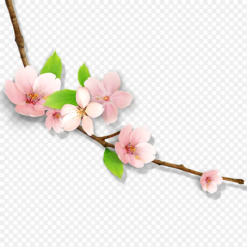 桃花