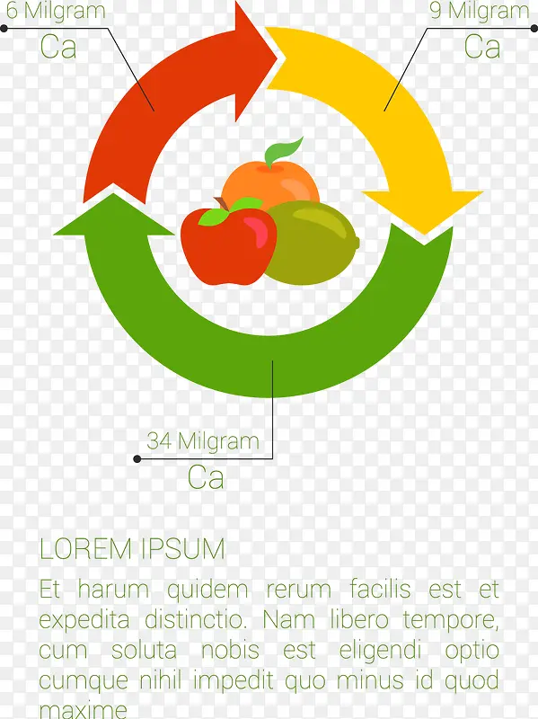 水果信息图表矢量元素