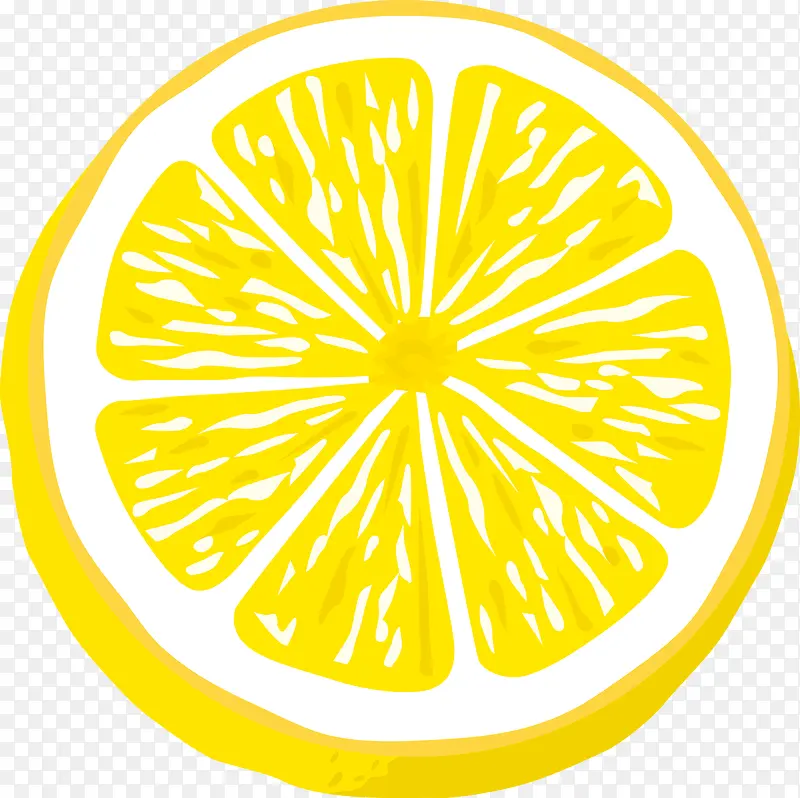 手绘柠檬片矢量图