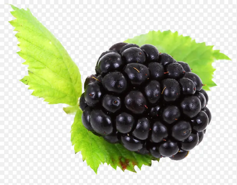 一串美味的黑莓