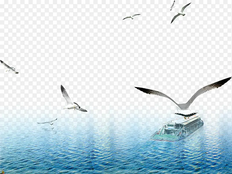 大海与海鸥素材