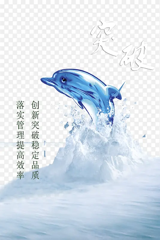 海中的海豚
