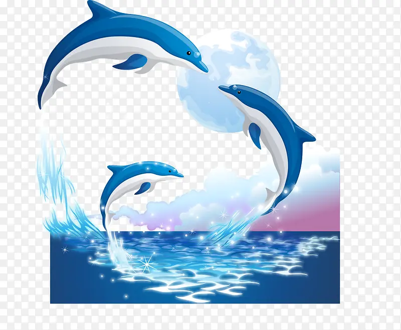 海豚