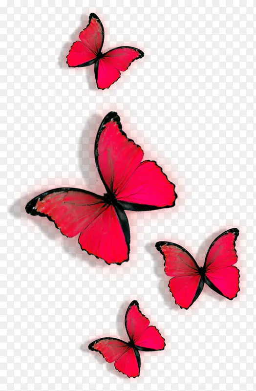红色蝴蝶漂浮装饰