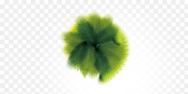 绿色植物装饰元素PNG图片素材下载_图片编号10333198-PNG素材网
