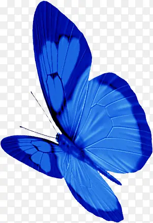 蓝色纹理蝴蝶装饰