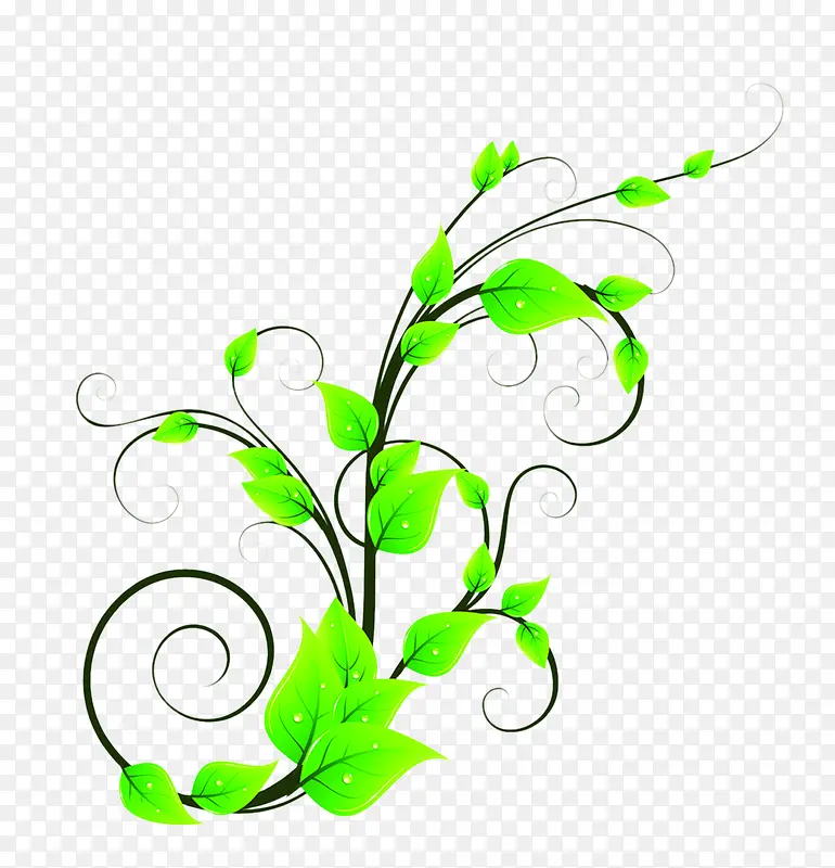绿色的花藤背景图片