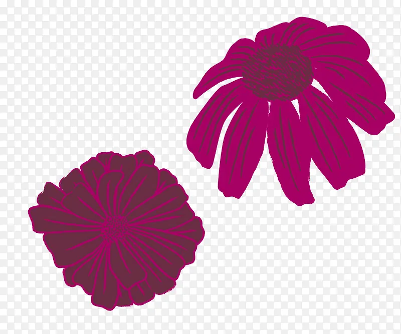紫色花朵简笔画