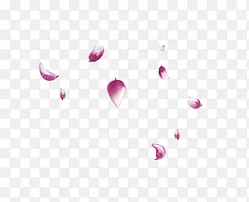 紫色花瓣