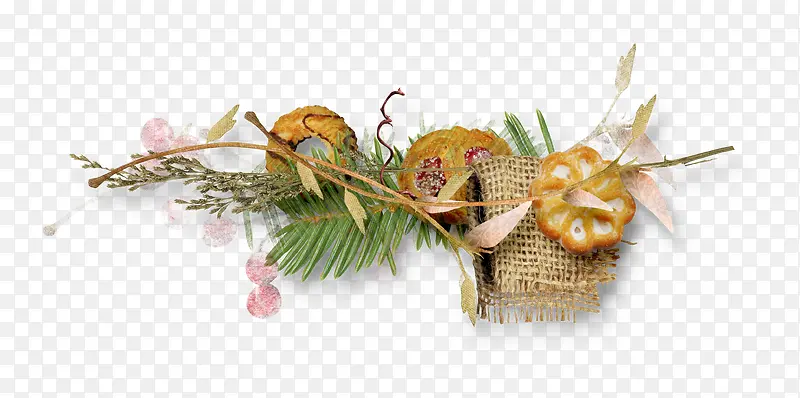 花枝饼干