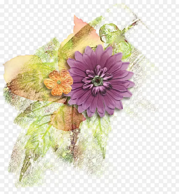 紫色菊花
