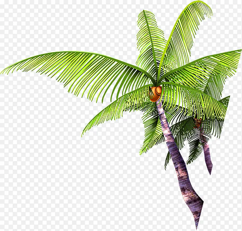 卡通沙滩海边椰子树