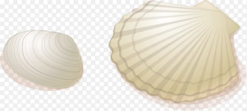 手绘夏日海报海边贝壳