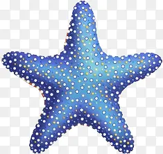 蓝色沙滩海边海星手绘