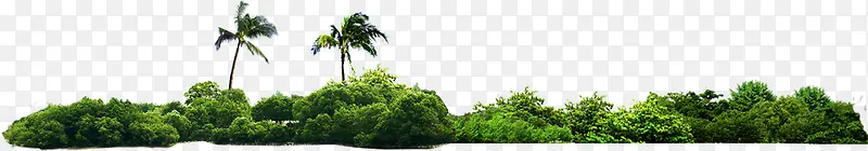 绿色海边美景椰树