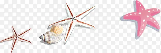手绘卡通海边沙滩海星