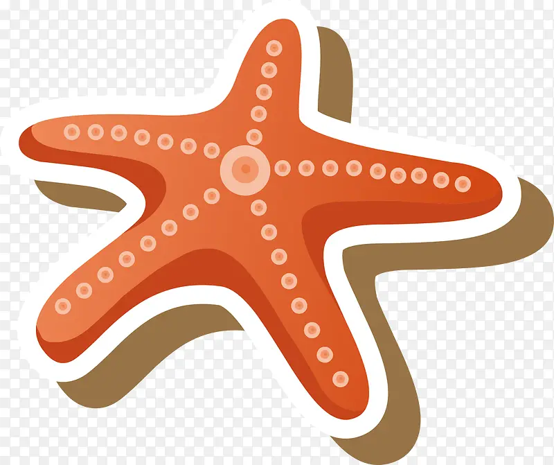 海星