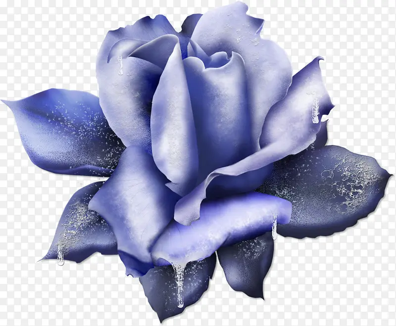 蓝玫瑰装饰蕾丝2