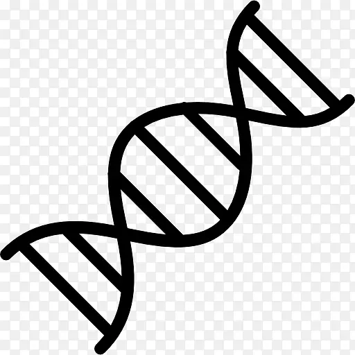 DNA 图标PNG图片素材下载_图片编号10339148-PNG素材网
