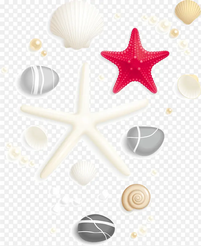 矢量卡通海星