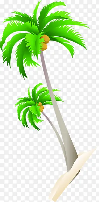 植物绿色沙滩椰子树夏日