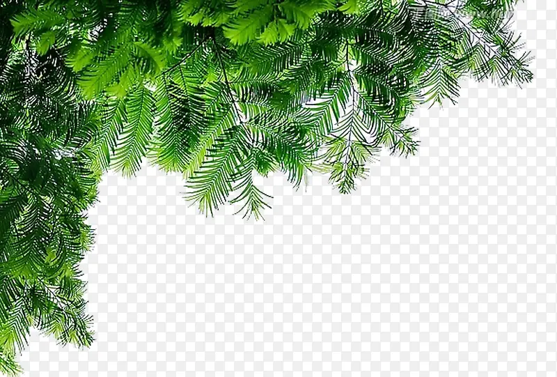 绿色松树环境美景PNG图片素材下载_图片编号10344799-PNG素材网