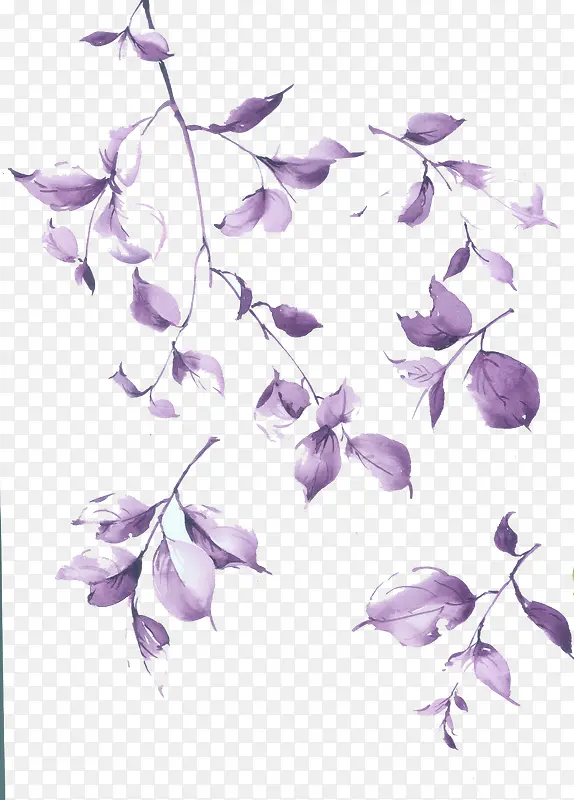 手绘花朵边框