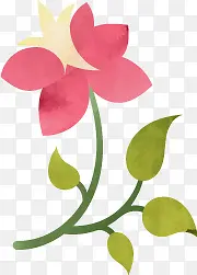 手绘花草