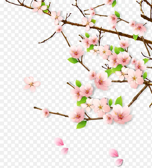 鲜艳盛开的桃花