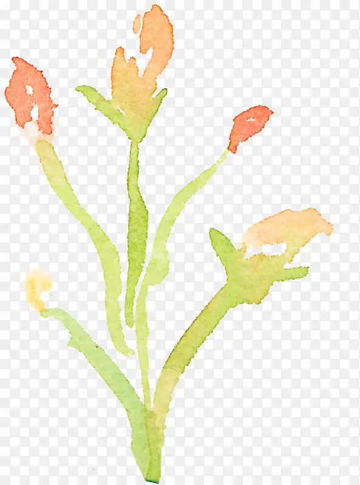 手绘小花