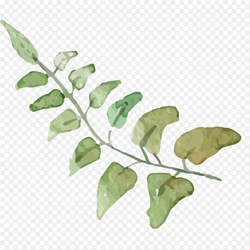 手绘 水彩 优化风格 唯美 花