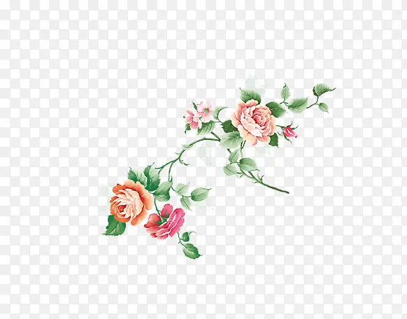 彩绘牡丹花朵