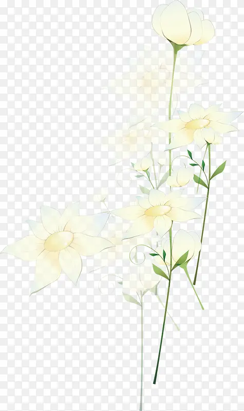 淡牙彩绘花矢量图