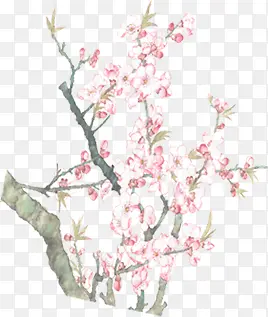 粉色淡雅树木美景桃花