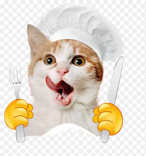 厨师装美术家猫咪图片