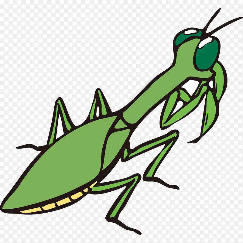 卡通绿色螳螂