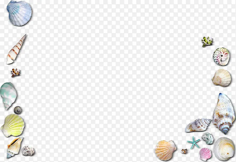 贝壳海螺海星