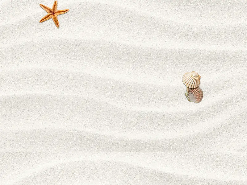 沙滩海星贝壳矢量素材