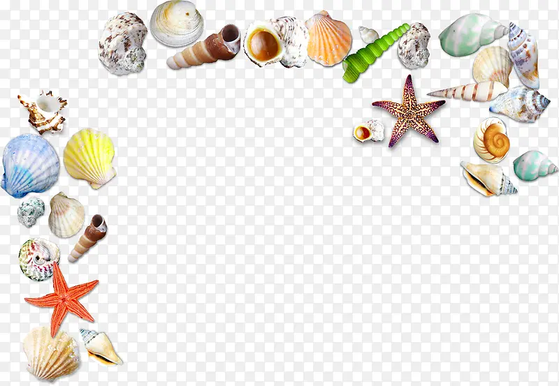 海螺海星贝壳装饰