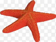夏日活动海报红色海星效果