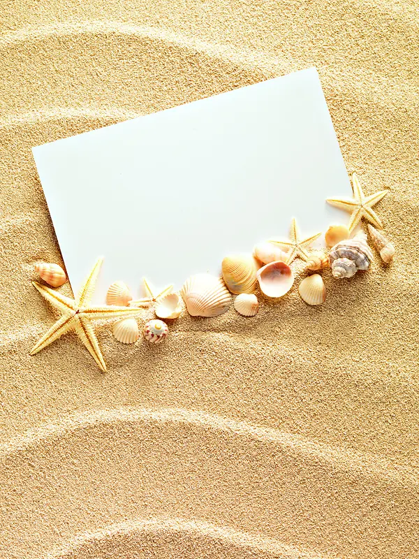 创意沙滩贝壳背景