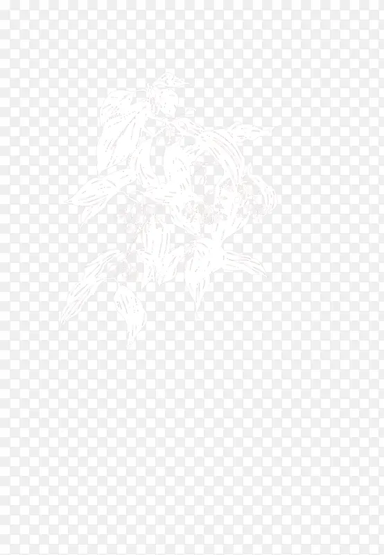 手绘白色朦胧树叶