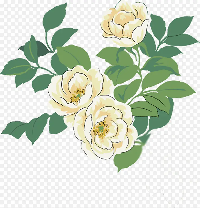 手绘白色花卉生日卡片