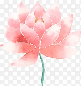 中国风粉色水彩莲花
