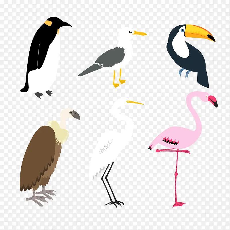 6款创意鸟类设计矢量素材